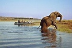 4 Days/ 3 Nights Victoria Falls & Hwange NP Adventure ( Budgeted)
