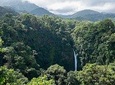 1 day trip getting off the beaten path to Monteverde Rain Forest