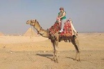 Best Private Tour to the Pyramids,Egyptian Museum & Bazaar& Camel Ride and Lunch
