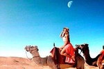 Magical dinner on sunset in Agafay desert and Camel Ride