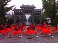 Xi'an Private Day Trip to Shaolin Temple and Songyang Academy by Bullet Train