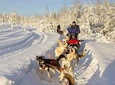 Husky Ride Private Tour from Krakow 