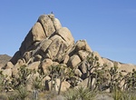 Bouldering Planet X Area, Joshua Tree National Park, California