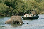 River Safari
