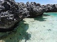 Reef Island Tour