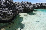 Reef Island Tour