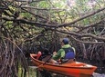 Everglades Kayak Safari Adventure Through Mangrove Tunnels 