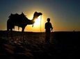 Camel & Horse ride at pyramids
