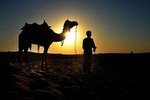 Camel & Horse ride at pyramids