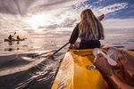 Simon’s Town Penguin Paddle