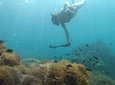 OnBird - PRIVATE Tailor-made Snorkeling & Island-hoping Trip