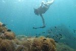 OnBird - PRIVATE Tailor-made Snorkeling & Island-hoping Trip