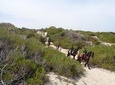 Horseback Riding in Randa Valleys, Mallorca, Spain