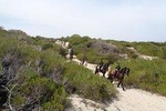 Horseback Riding in Randa Valleys, Mallorca, Spain
