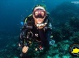 5 Fun Dives in Pemuteran (for certified divers) - Exploration in Menjangan Park