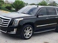 Transportation VIP CADILLAC BAVARO ( ROUND TRIP )