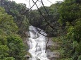 Private Tour Tijuca Forest and Botanical Garden