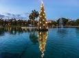 Magic Christmas Tour in Malaga