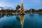 Magic Christmas Tour in Malaga