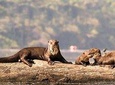 Sndoval lake Reserve 4 days /3 night