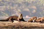 Sndoval lake Reserve 4 days /3 night