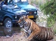 Golden Triangle Tour With Tiger Safari at Ranthambore