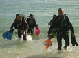 DiveGurus - PADI Open Water Diver Course