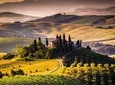 Wine Tasting in Tuscany: full-day private tour from Rome