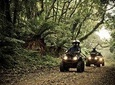 ATV Tour to Morro Pelado - 02 people per ATV