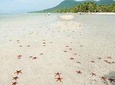 A great day to Starfish beach up to the North of Phu Quoc island