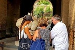 Colosseum tour