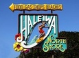 Grand Circle Island & Haleiwa (9 Hours: 7:00Am – 4:00PM)