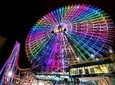 Private Customize Tokyo Sightseeing + Night Tour (1D)