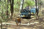 Golden Triangle Tour With Ranthambore Tiger Safari
