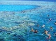 Snorkeling Trip to Giftun Island in hurgahda