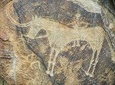 Day Trip to Tanbaly Petroglyphs