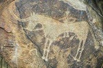 Day Trip to Tanbaly Petroglyphs
