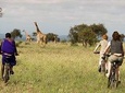 10 Days Africa Cycling Safari Holidays