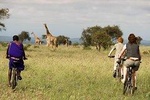 10 Days Africa Cycling Safari Holidays