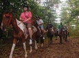 East Coast Horseback Riding Excursion St. Lucia