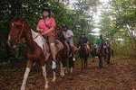 East Coast Horseback Riding Excursion St. Lucia