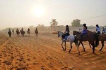 Private Desert Horse Riding Experience in Dubai
