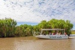 Jumping Crocs & Nature Adventure Cruise from Darwin