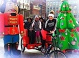 FESTIVAL OF LIGHTS CHRISTMAS TREE TOUR