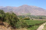 Elqui Valley Full Day (Elqui Valley + Mamalluca Observatory)