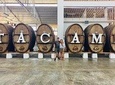 1 day tour Huacachina from Lima (Dunebuggy + Vineyards)