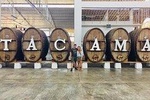 1 day tour Huacachina from Lima (Dunebuggy + Vineyards)