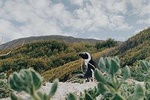 Private Cape Peninsula Tour, With Close Range Penguin Encounter From Cape Town.