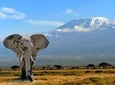 4 Days Masai Mara Budget Camping Safari Tours 