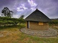 Full Day trip to Adadi Mariam , Tiya and Melka Kunture